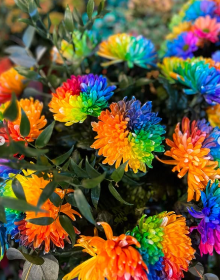 Foto: @luxushotel_guide
Riverside Debussy