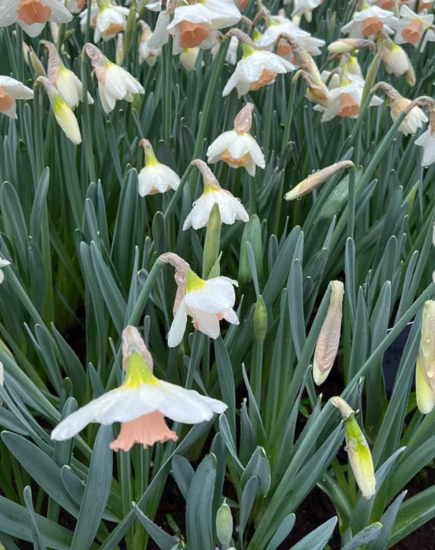 Foto: @luxushotel_guide
Riverside Debussy