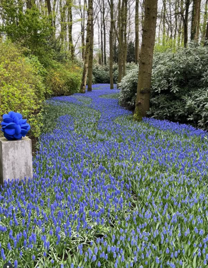 Foto: @luxushotel_guide
Riverside Debussy