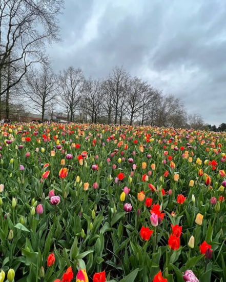 Foto: @luxushotel_guide
Riverside Debussy