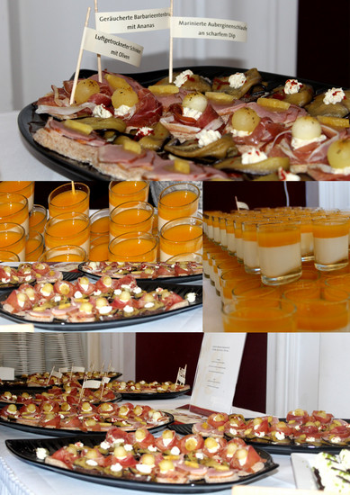  Von Bellan Catering gab es Häppchen mit luftgetrocknetem Schinken, marinierte Auberginen-Schlaufen mit scharfem Dipp so wie geräucherte Barbarieentenbrust mit Ananas, als Dessert Vanilla Panacotta mit Fruchtmark und Mango-Passionsfruchttörtchen.