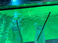 Cool am #pool 😃.
Hier im Club Esprit auf der #ssjoiedevivre kann man im Pool schwimmen 🏊‍♀️ und trainieren und sogar die...